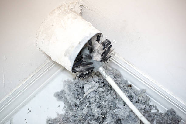 Best Local Air Duct Cleaning Services  in The Hammocks, FL